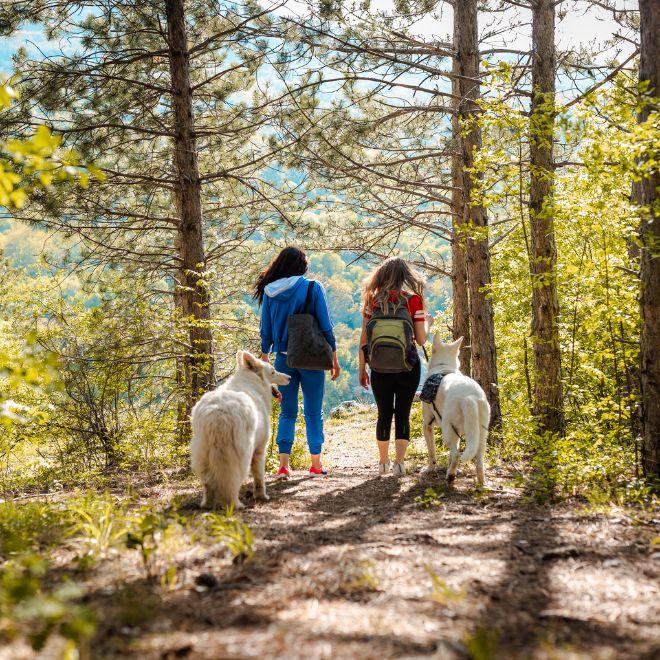 Two women and their dogs hiking in the woods 