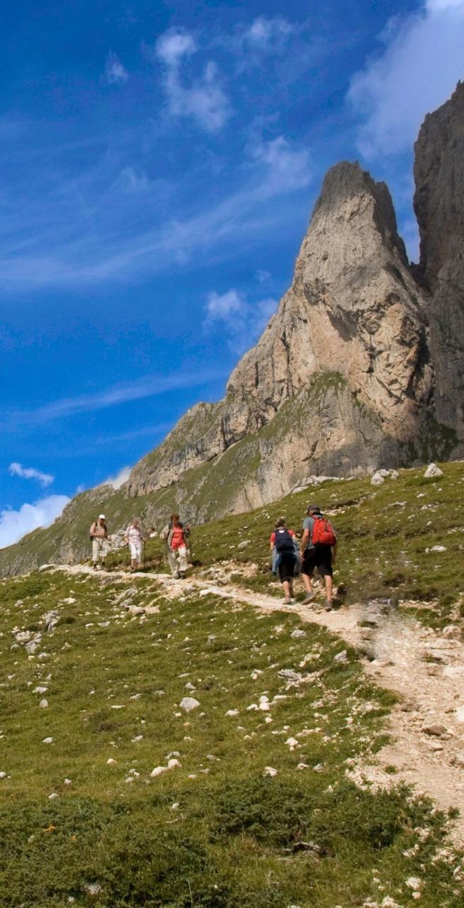 activities trip types hiking on alps view