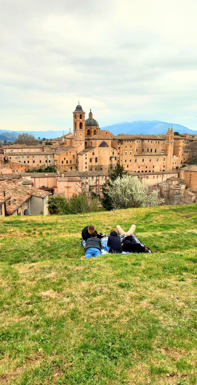 urbino skyline montefeltro area