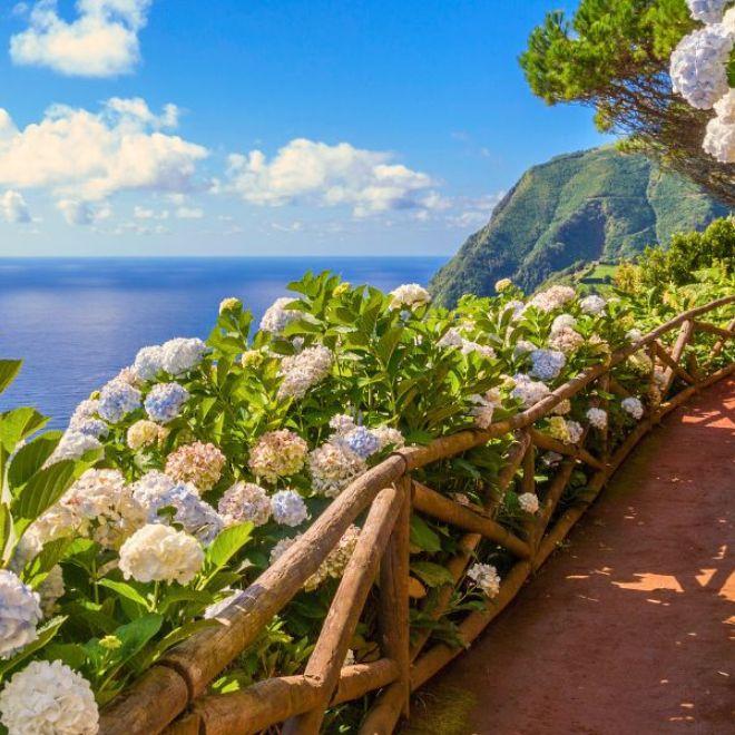 Costa e Isole sentiero fiorito isole azzorre