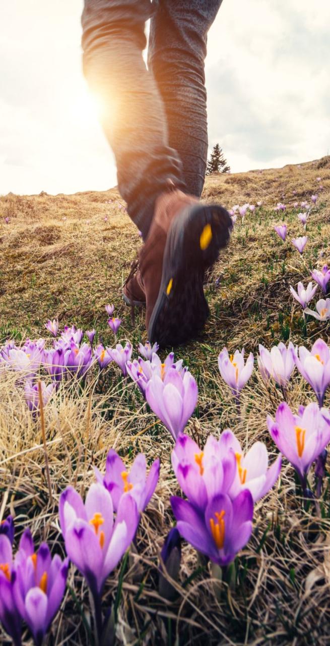periodo migliore per trekking Primavera e Autunno campo di fiori