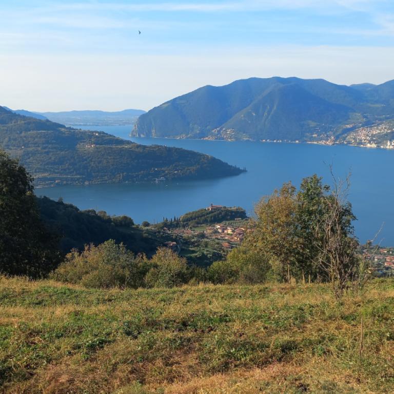 sentiero che costeggia il Lago d’Iseo tra boschi e uliveti, ideale per un’escursione a piedi.