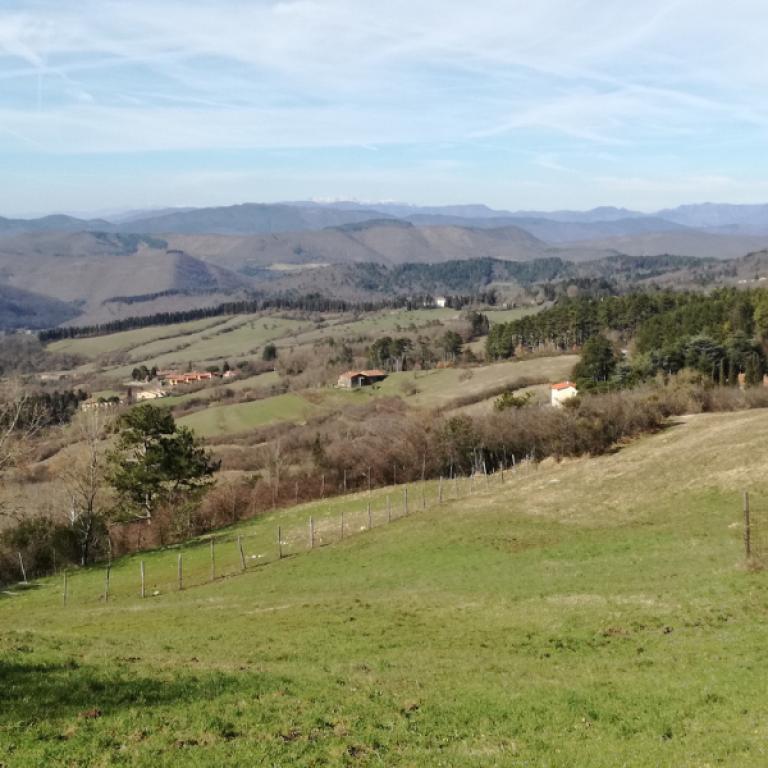 paesaggio autunnale sull'appennino lungo la Via degli Dei Facile