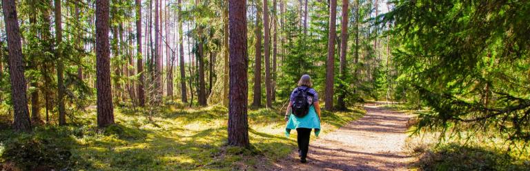 Camminatrice lungo un sentiero nel bosco della Via degli Dei Facile