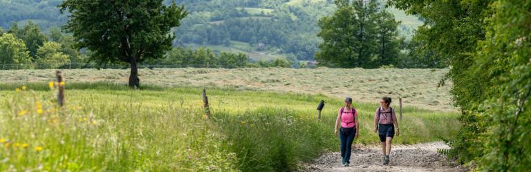 Tramo fácil de la Via degli Dei entre Bolonia y Florencia