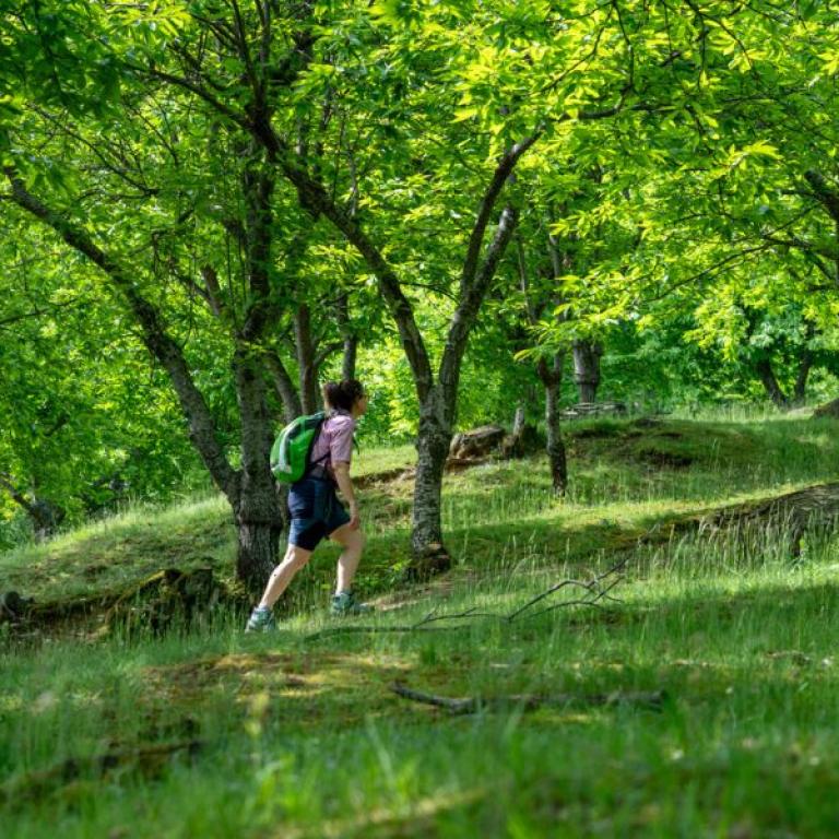 Paseo relajado por la variante fácil de la Via degli Dei