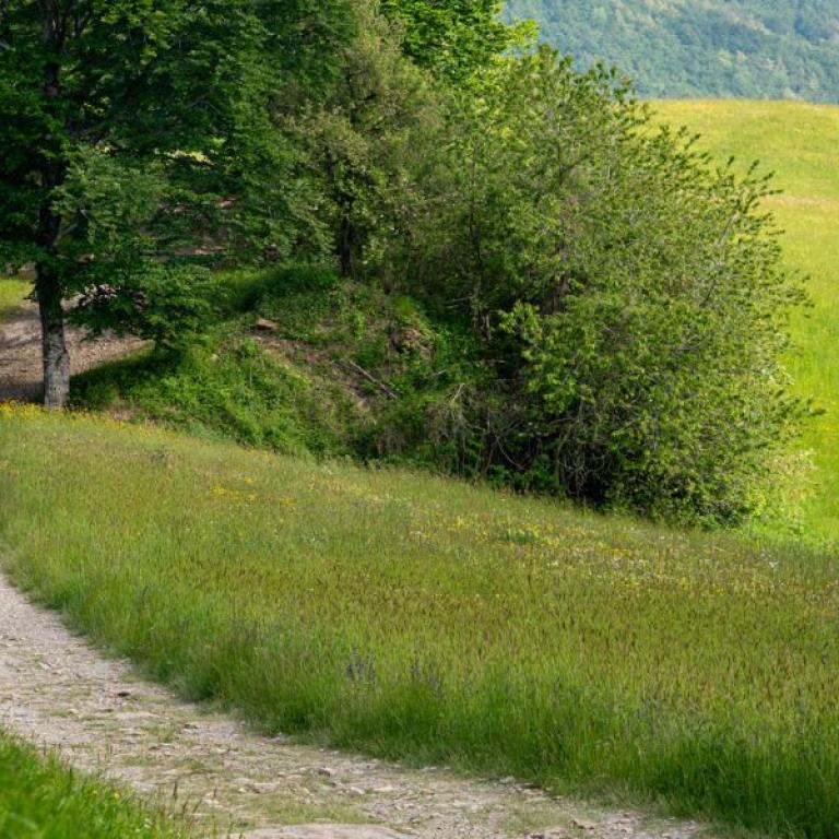 Sendero de baja dificultad de la Via degli Dei en los Apeninos