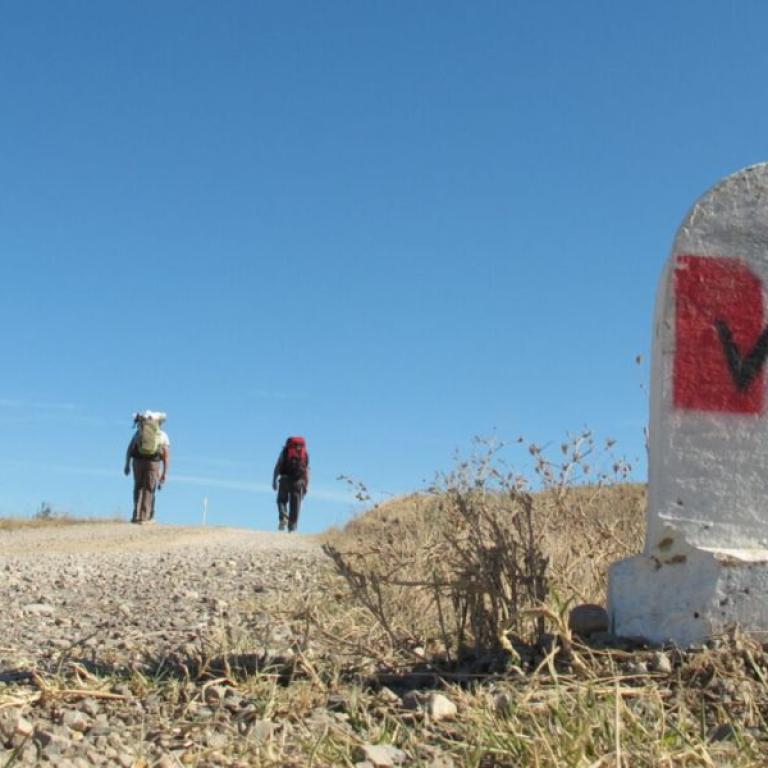 Francigena Easy Siena Orvieto waymark