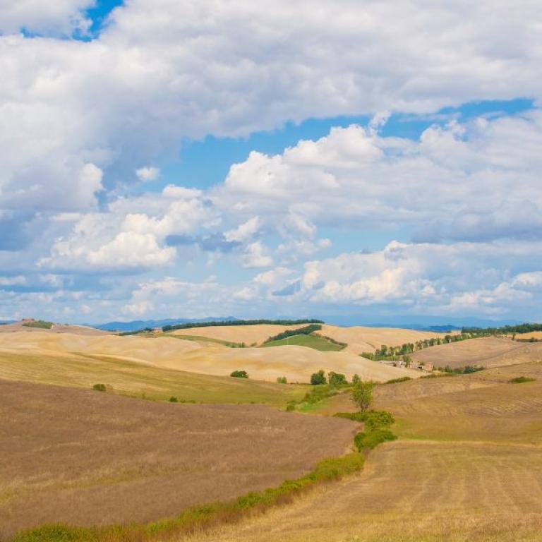 Francigena Easy Siena Orvieto val d'orcia fields