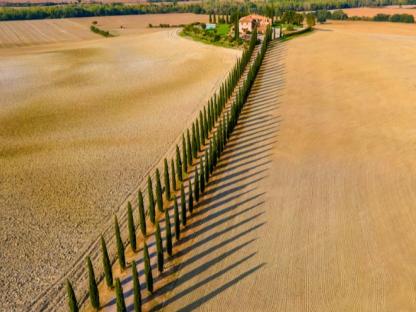 VÍA FRANCÍGENA FÁCIL, DESDE SIENA A ORVIETO Autoguiado
