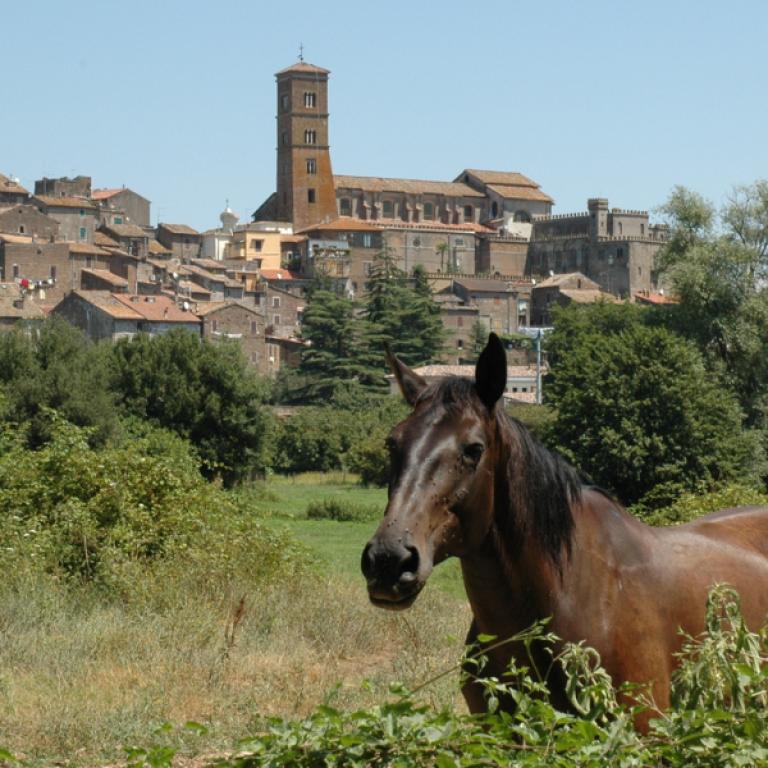 village of sutri and a horse