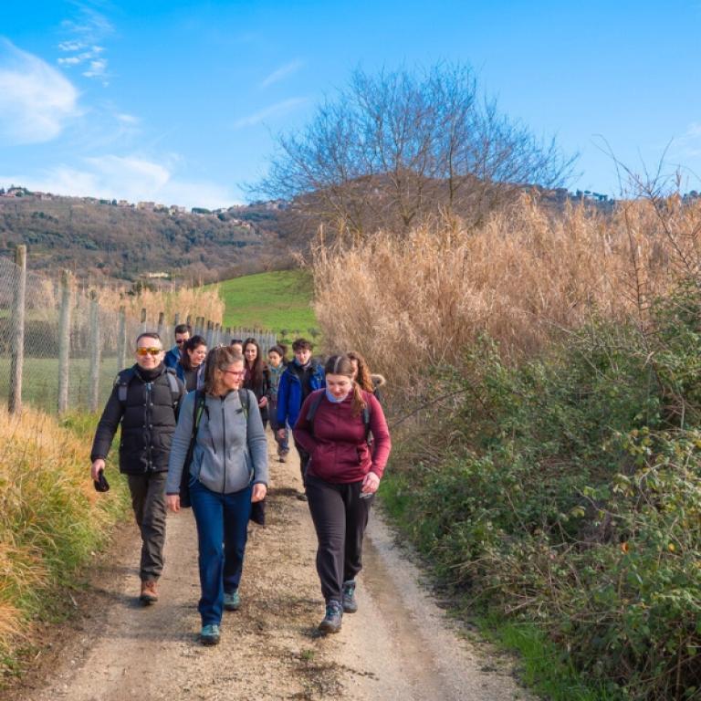 Escursionisti in cammino su strada sterrata negli ultimi 100 km Via Francigena