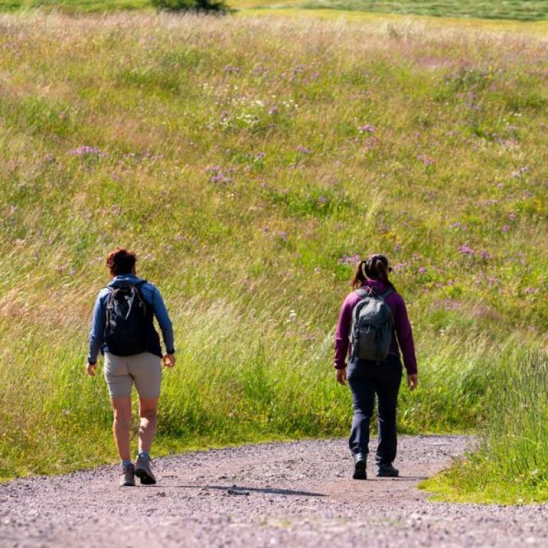 Two hikers walking along the Sentiero del Castagno trail through lush meadows and wildflowers under the South Tyrol sun.