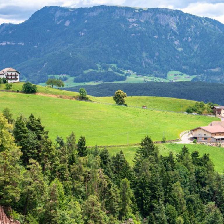 View of the rolling hills and farms along the Sentiero del Castagno in South Tyrol, surrounded by green meadows and mountain landscapes.