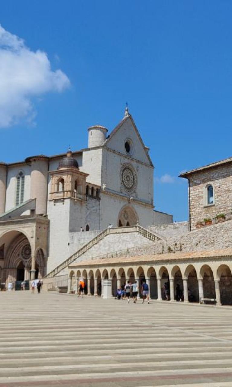 assisi