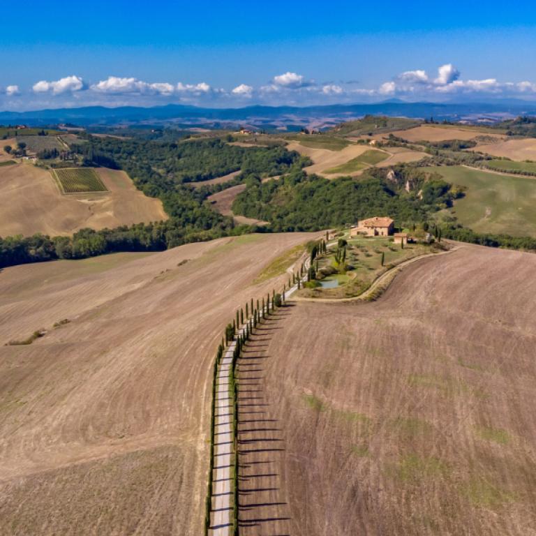 Via Lauretana Easy Under the tuscan sun cypress path