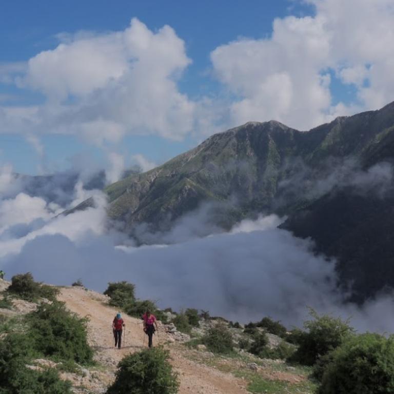 walk in hazy valley albania