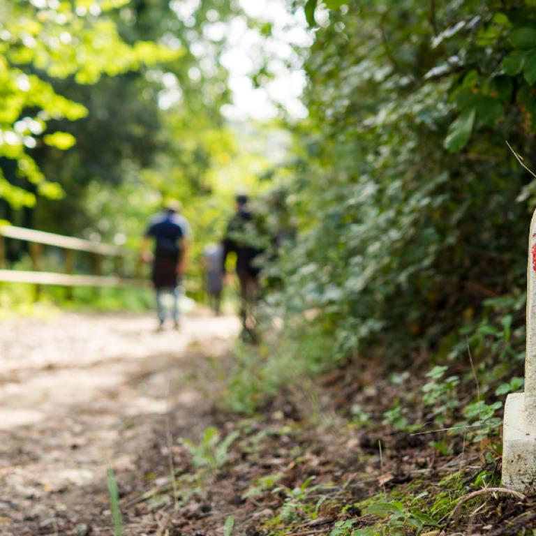 Via Francigena facile Heart of Tuscan Via Francigena Easy waymark