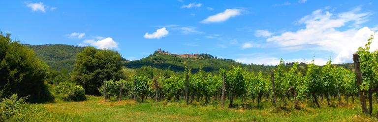 Arezzo and Valtiberina In the Footsteps of Italy's Great Artists