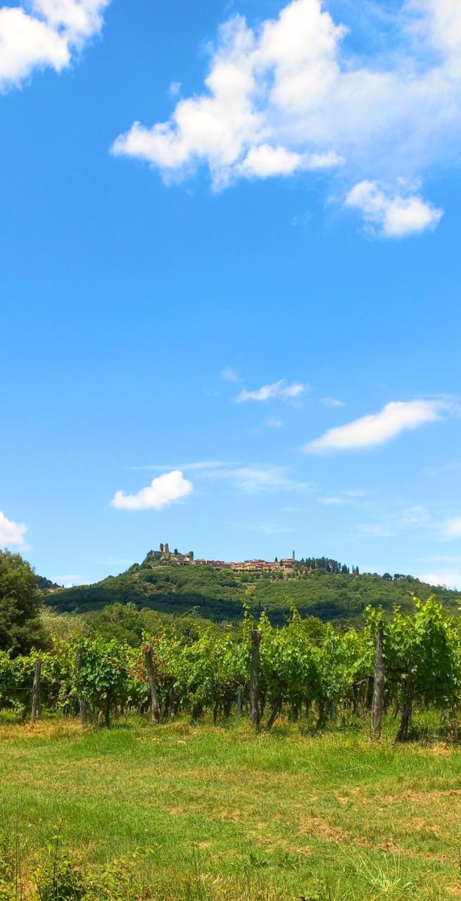 Arezzo and Valtiberina In the Footsteps of Italy's Great Artists
