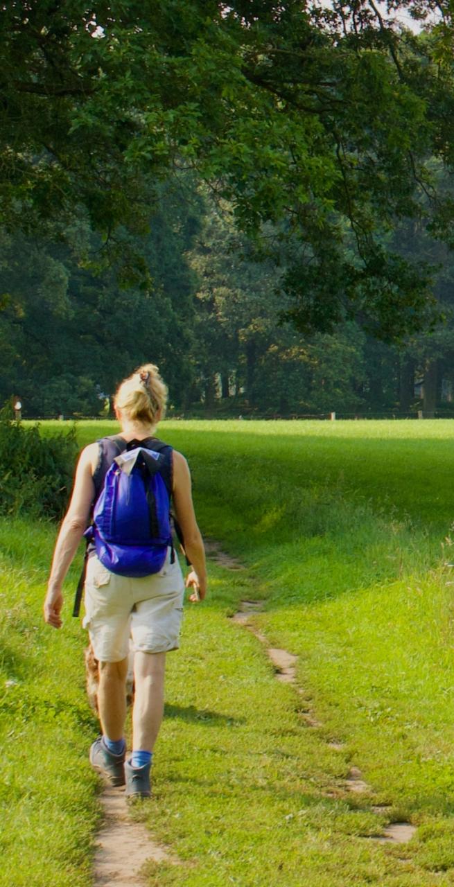 pieterpad stage 3 walking to vorden