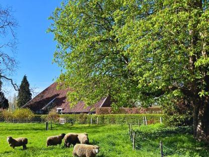 PIETERPAD: STAGE 3, VORDEN TO TO VIERLINGSBEEK Self-Guided