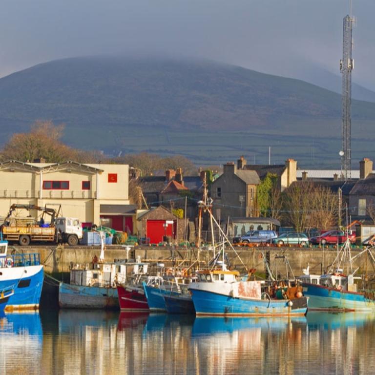 dingle way boats
