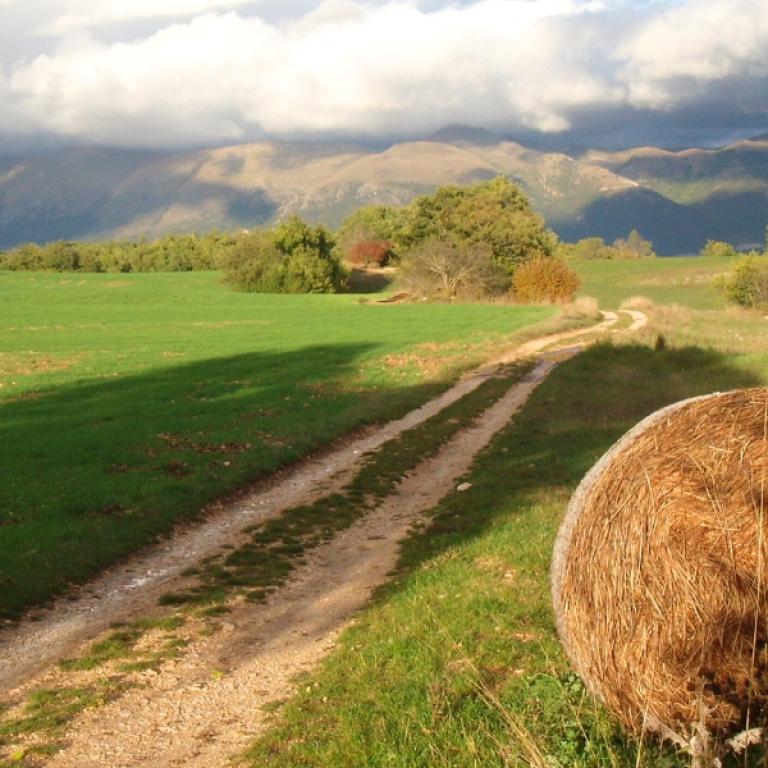 norcia to cascia fields st benedict way
