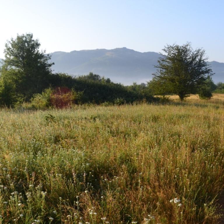 Sacred Cave and monasteries of Subiaco along the Cammino di San Benedetto