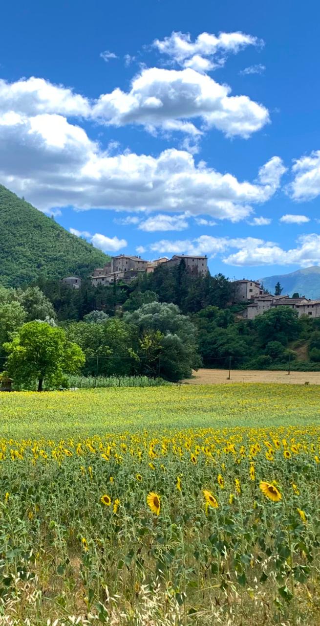 Storia del Cammino di San Benedetto