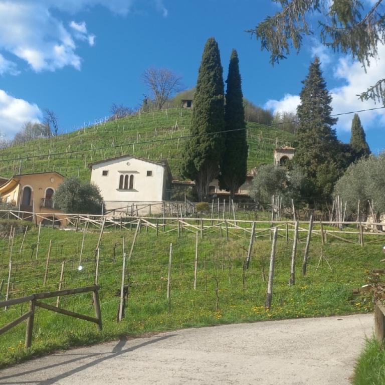 pieve di soligo-col san martino