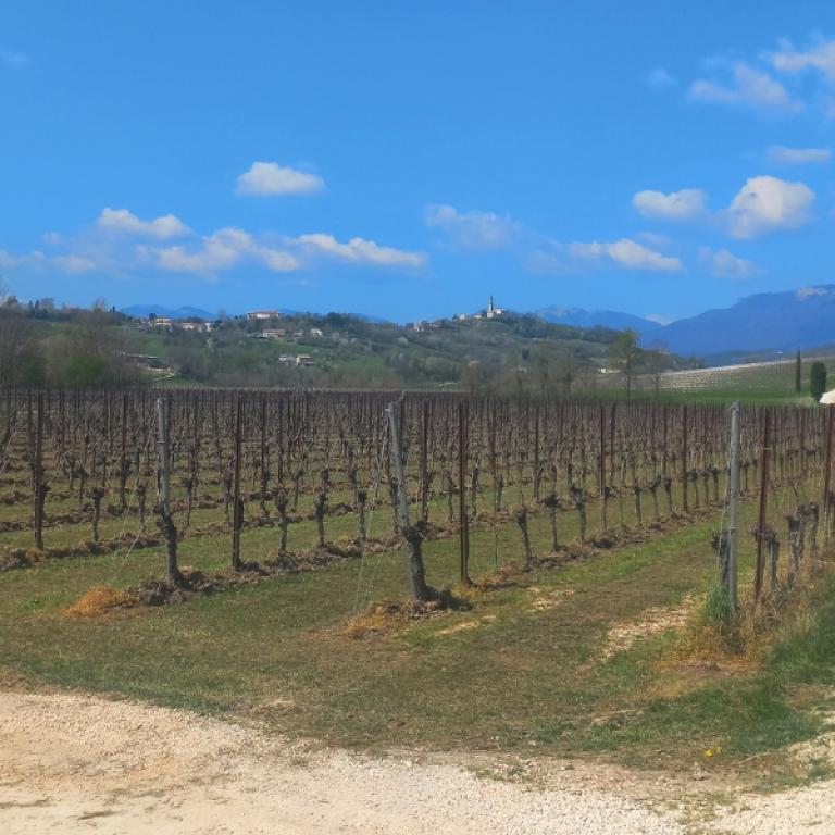 pieve di soligo-col san martino countryside