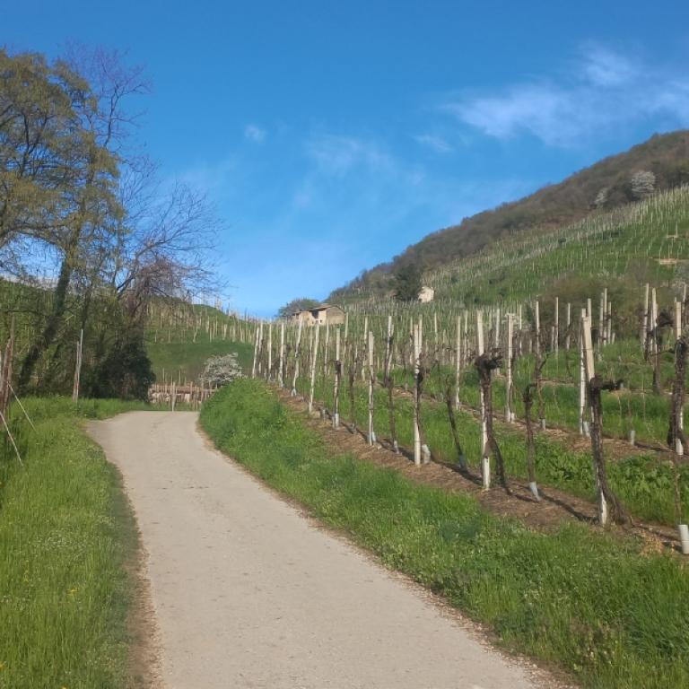 conegliano-soffratta path