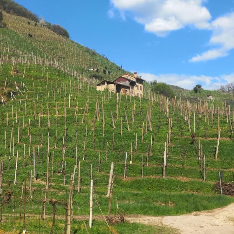 col san martino-valdobbiadene