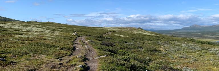 Scenic views from Dovre on the St Olav Path