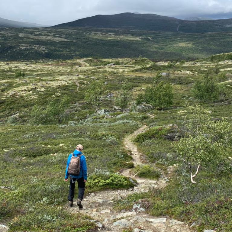Hikers walking along the St Olav Way in Norway towards Trondheim