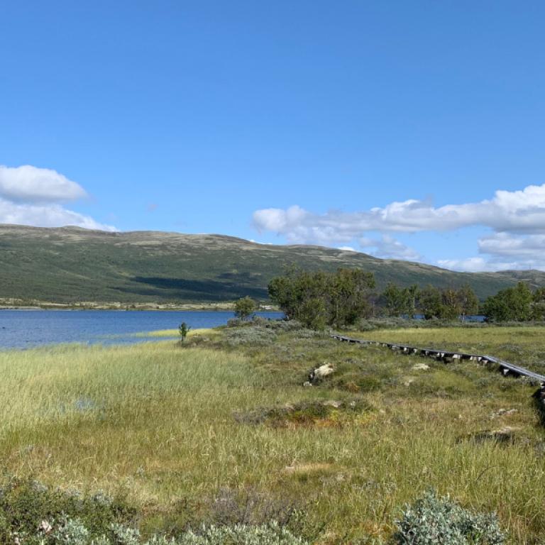 View of the St Olav Path near Dovre with mountain landscapes