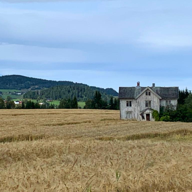 Walking the ancient St Olav pilgrimage trail to Trondheim