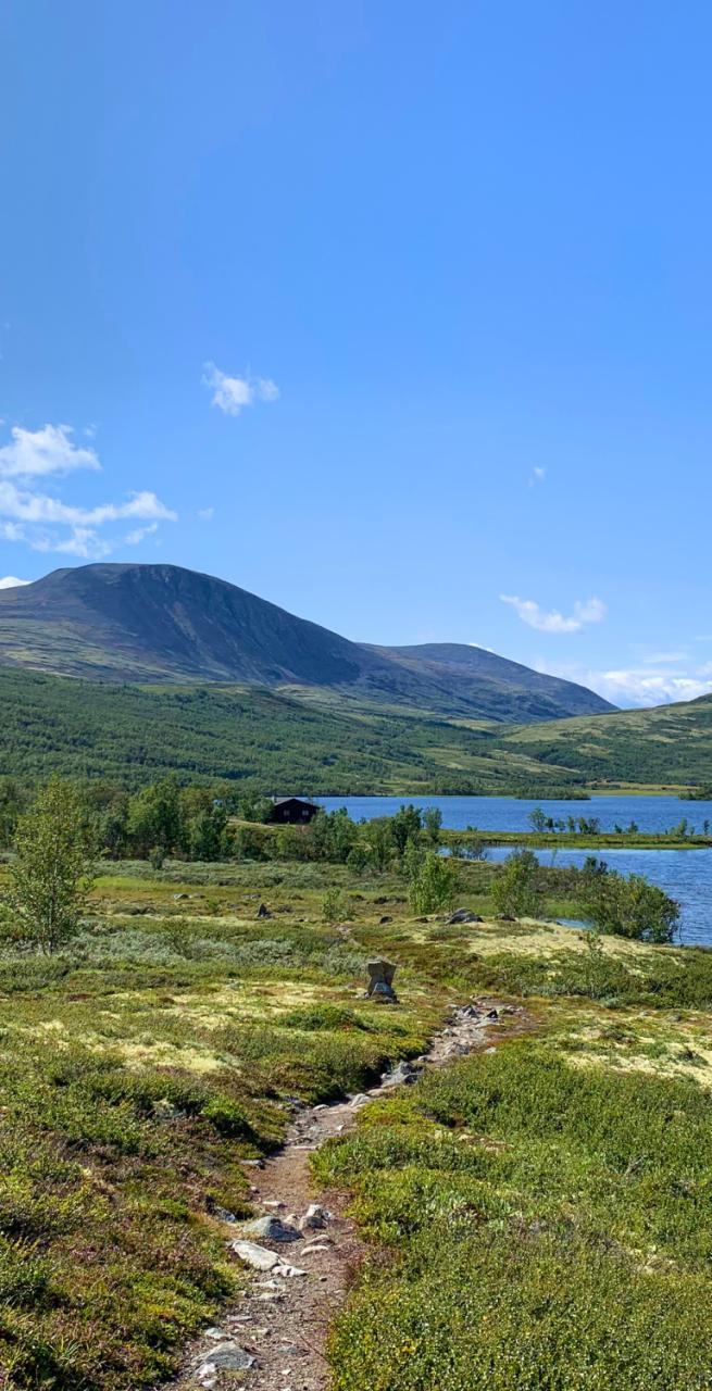 Scenic views from Dovre on the St Olav Path