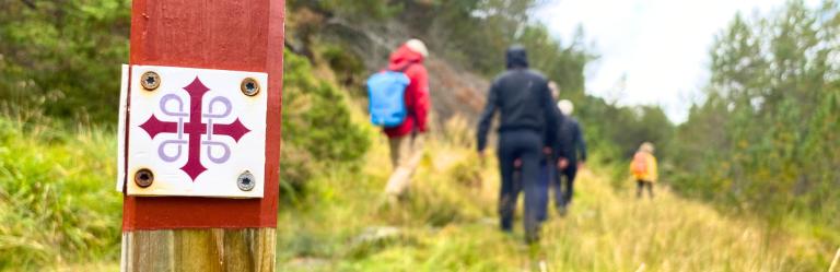 Hiker following a narrow trail across open tundra landscapes along the St. Olav Way in norway