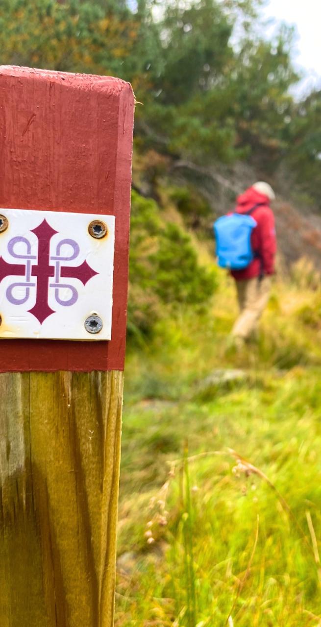 Hiker following a narrow trail across open tundra landscapes along the St. Olav Way in norway