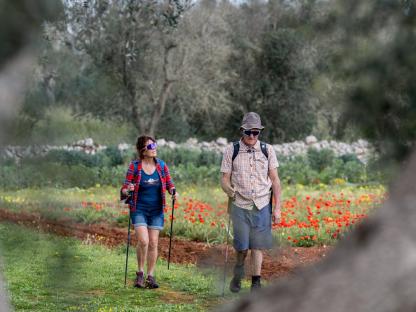 VIA FRANCIGENA FINISTERRE Autoguiado