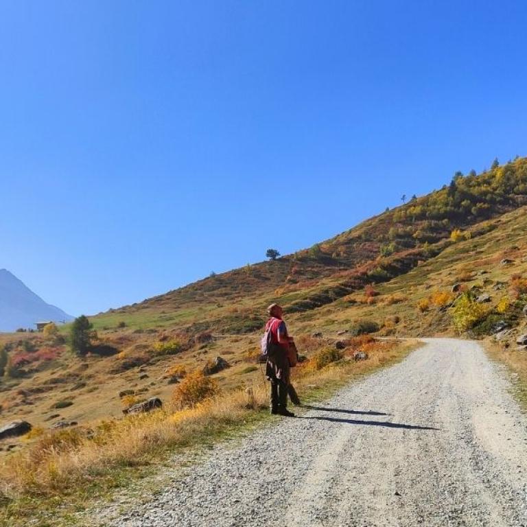 Hiker on a panoramic mountain gravel road during the Piedmont alpine walking tour