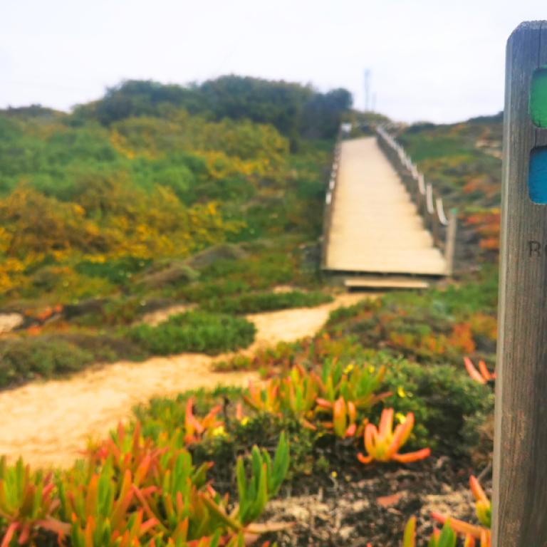 Rota Vicentina wooden trail marker along the Fisherman’s Trail coastal route