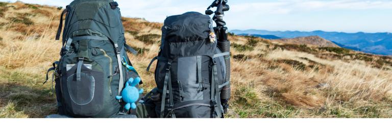 luggage transport bag transfer on our walks
