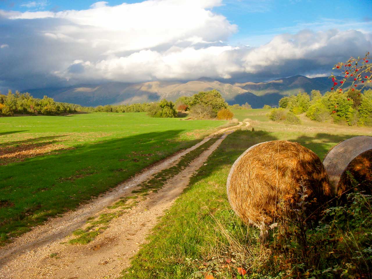 Viandante sul Cammino di San Benedetto tra le colline umbre