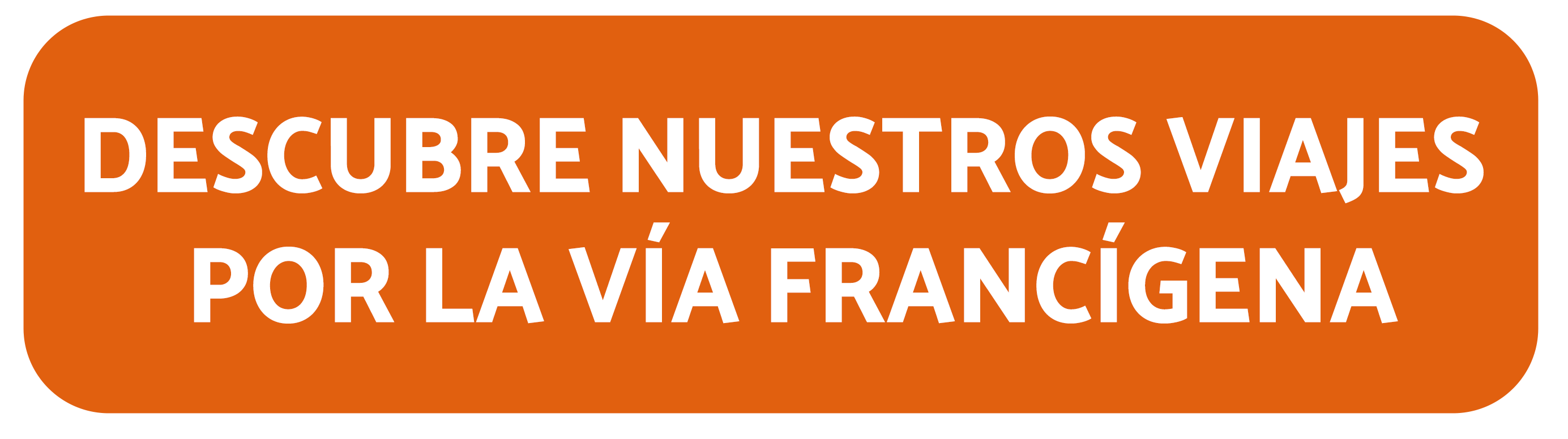 DESCUBRE NUESTROS VIAJES POR LA VIA FRANCIGENA