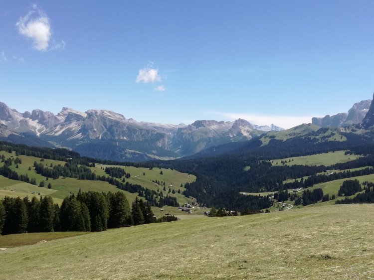 Chestnuts, mountain paths, and other things I like