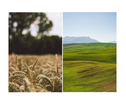 Fotografi in cammino Prospettiva paesaggio