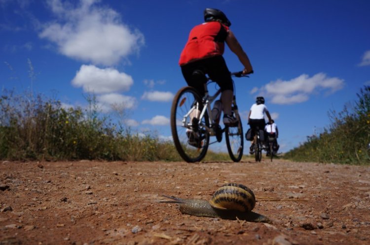 consigli viaggio in bici 2